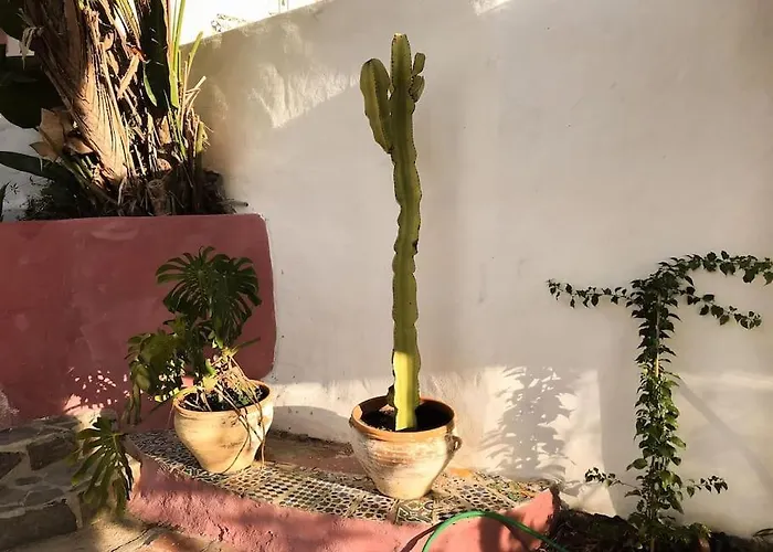 Little Paradise In Fuente Conejo Vila Màlaga